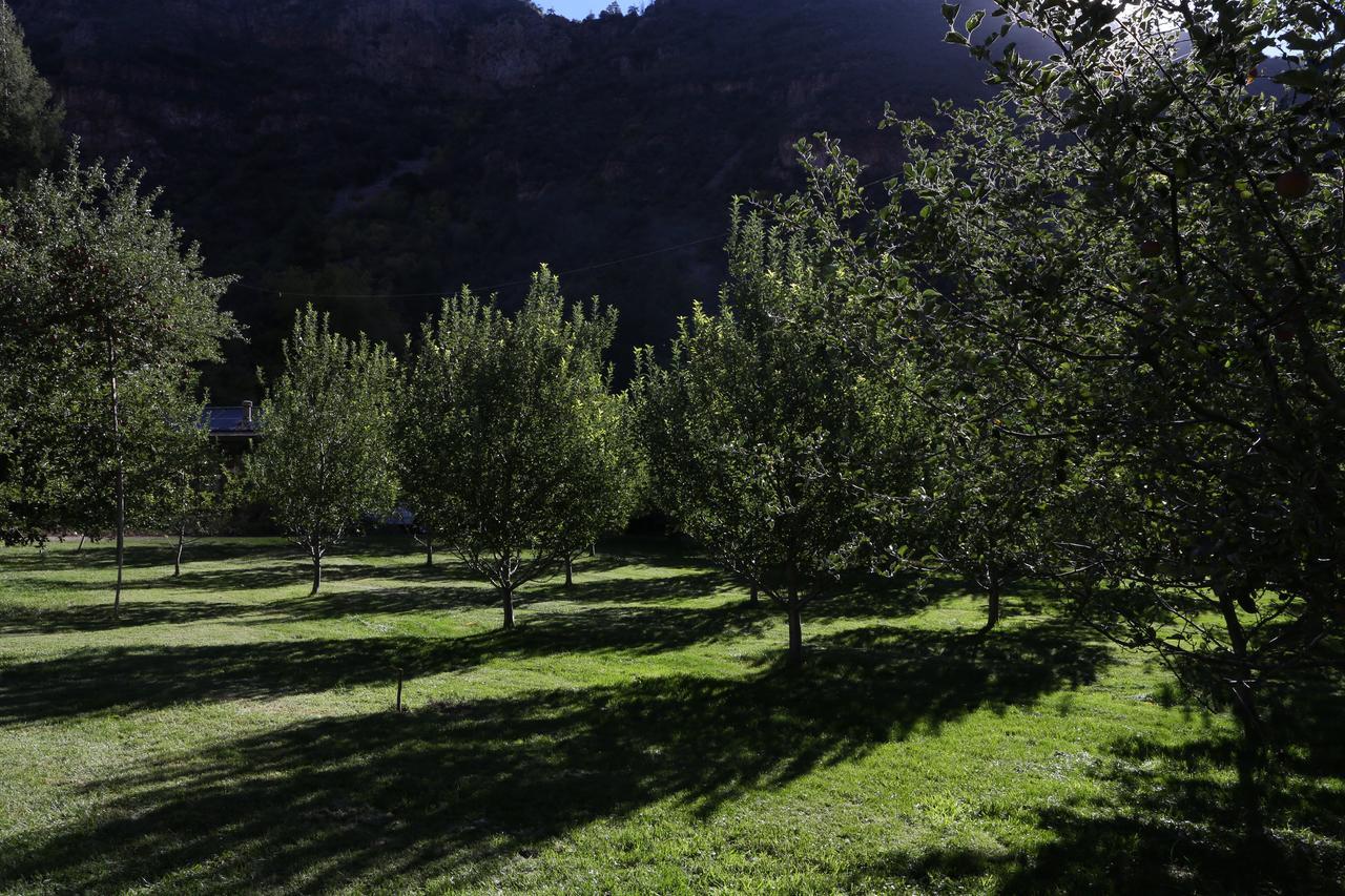 Orchard Canyon On Oak Creek セドナ エクステリア 写真